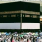 Kepulangan Jamaah Haji Dimulai Setelah Tawaf Perpisahan ( ANTARA FOTO/Citro Atmoko/sgd/nym/suara.com)