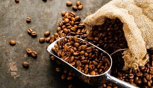 Sejarah Kopi Brasil: Dari Bibit Rahasia hingga Menjadi Eksportir Terbesar Dunia (Foto:Dok. Images)