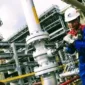 Pertamina Ungkap Proses Menjaga Kualitas BBM Ramah Lingkungan (Foto: ANTARA FOTO/M Risyal Hidayat)