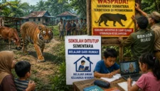 Harimau Sumatera Masuk Permukiman, Sekolah di Inhil Ditutup (foto : Ilustrasi AI)
