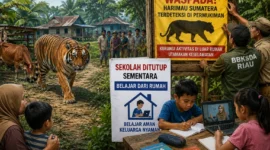 Harimau Sumatera Masuk Permukiman, Sekolah di Inhil Ditutup (foto : Ilustrasi AI)