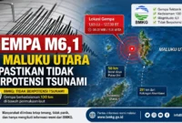 Gempa M6,1 di Maluku Utara Dipastikan Tak Berpotensi Tsunami (Foto: Ilustrasi AI)